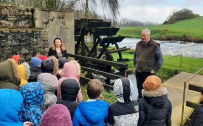 Junior Infants Trip to Martry Mill