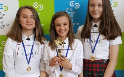 Primary Schools Meath Enterprise Awards